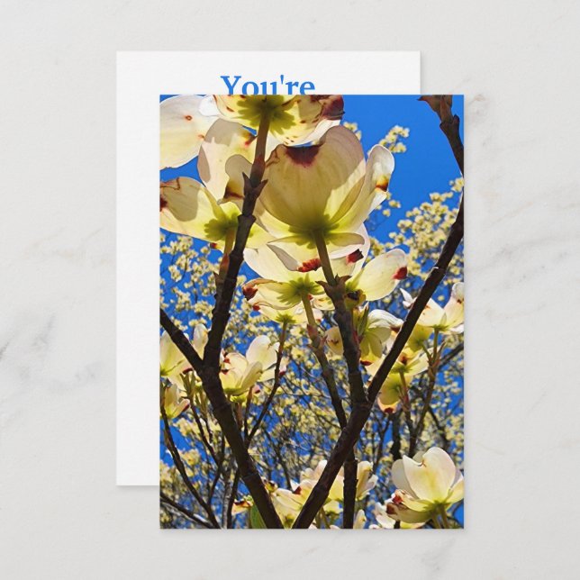 Convites Árvore de madeira (Frente/Verso)