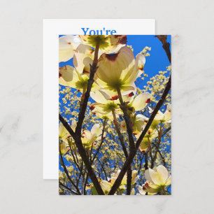 Convites Árvore de madeira