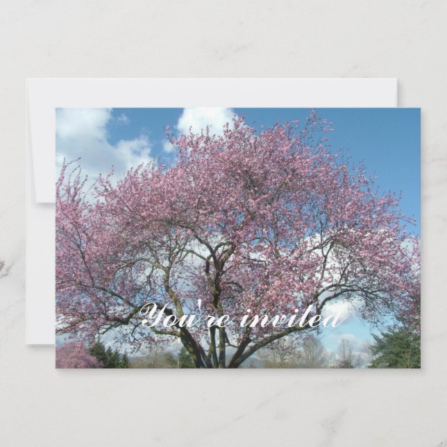 Convites árvore florida de cerejeira na primavera (Frente)