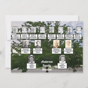 Convites Árvore Summertime geração de Reunião Familiar 