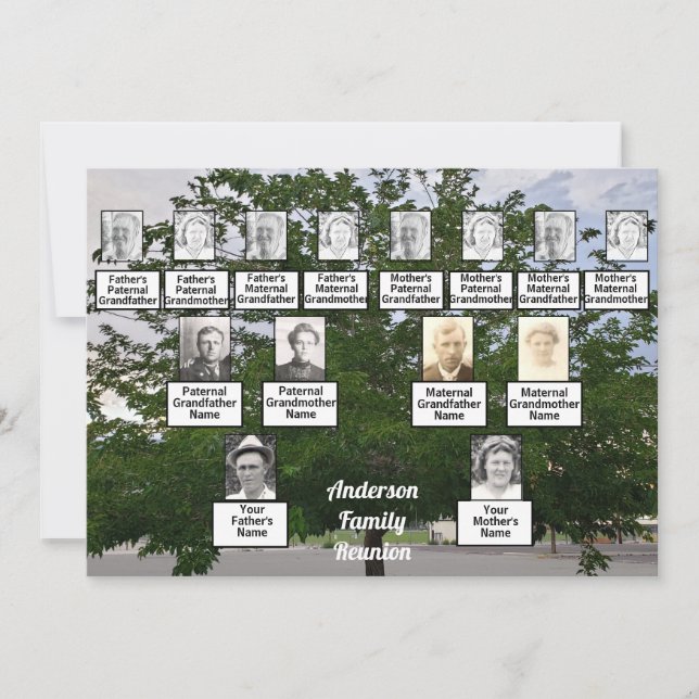 Convites Árvore Summertime geração de Reunião Familiar 3 (Frente)