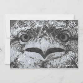 Convites Australian Wildlife, Nature's Curmudgeon, Animal