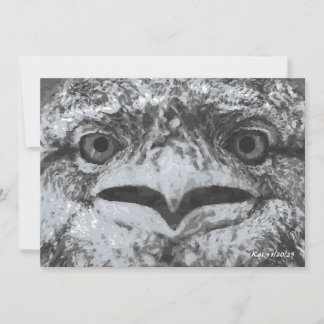 Convites Australian Wildlife, Nature's Curmudgeon, Animal