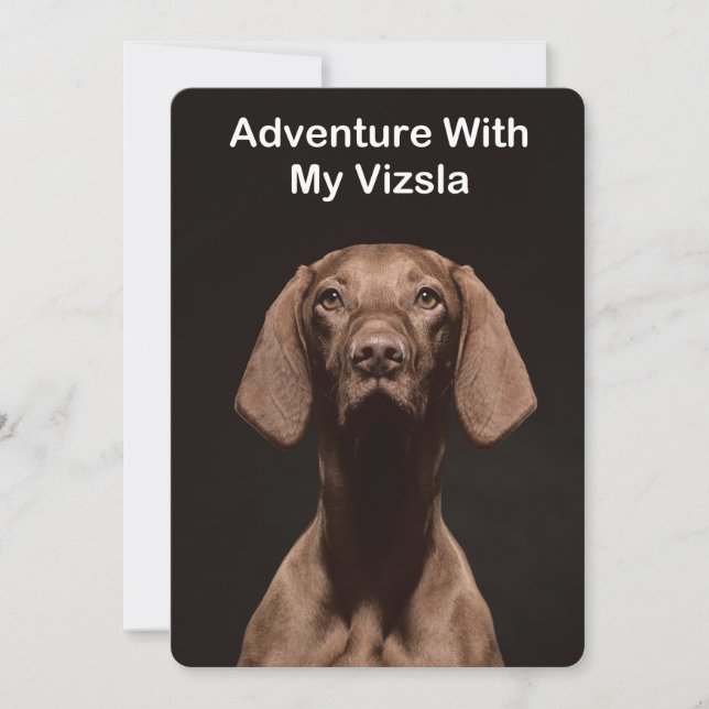 Convites Aventura Com O Meu Vizsla (Frente)