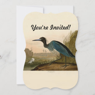 Convites Aves da América de Crane Azul de Audubon
