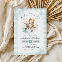 Avião Urso Urso Urso de Teddy Voa Aniversário