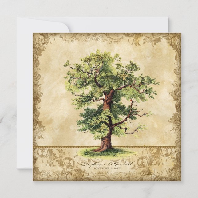 Convites Bacia hidrográfica do Vintage Oak Tree of Life Swi (Frente)