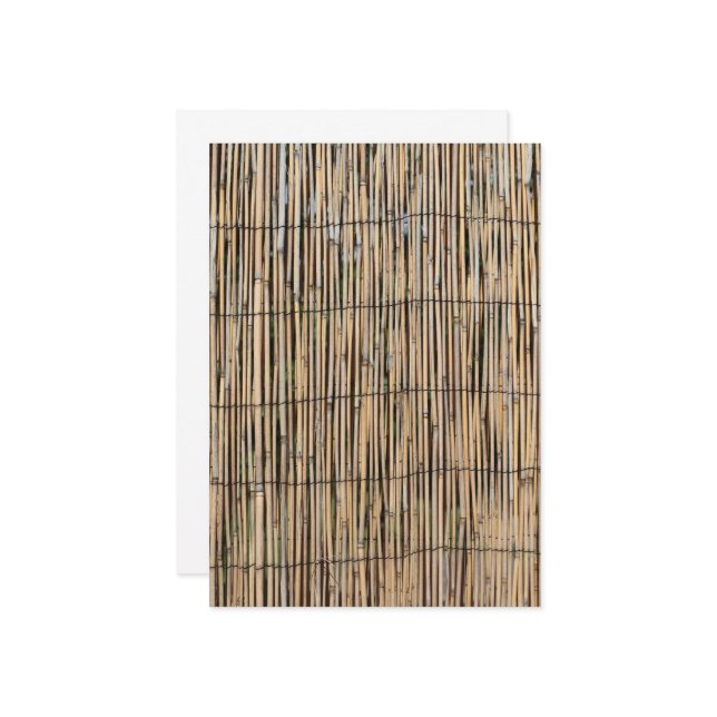 Convites Bambu (Frente/Verso In Situ)