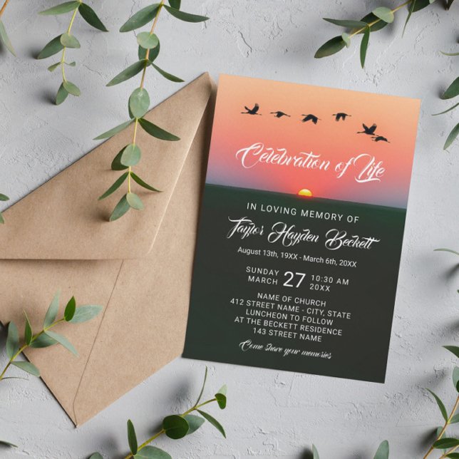 Convites Bando de Aves na Celebração da Vida ao Sol (Criador carregado)