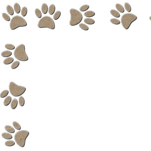 Convites Base De Impressões De Vidro De Textura Em Papel Pa