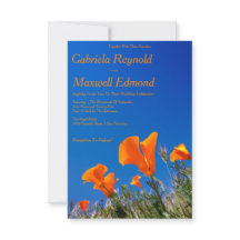 Beauty Nature Floral California Poppy Casamento