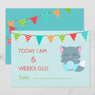 Convites Bebê Cute Milestone Mês Colorida Kitten