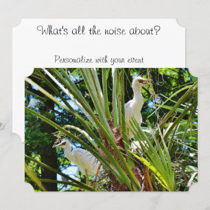 Convites Bebês Pássaros