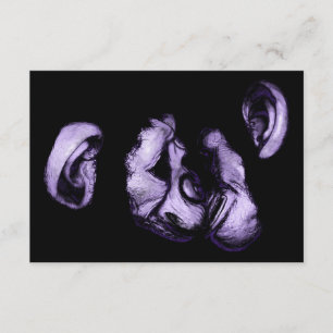 Convites beijando chimpanzés