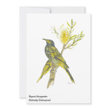 Bela Bird de Honeyeater Regente