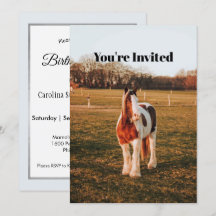 Belo Aniversário do Cavalo de Pintura Castanho