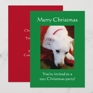 Convites Belo Cachorro Branca de Neve, Feliz Natal Verde