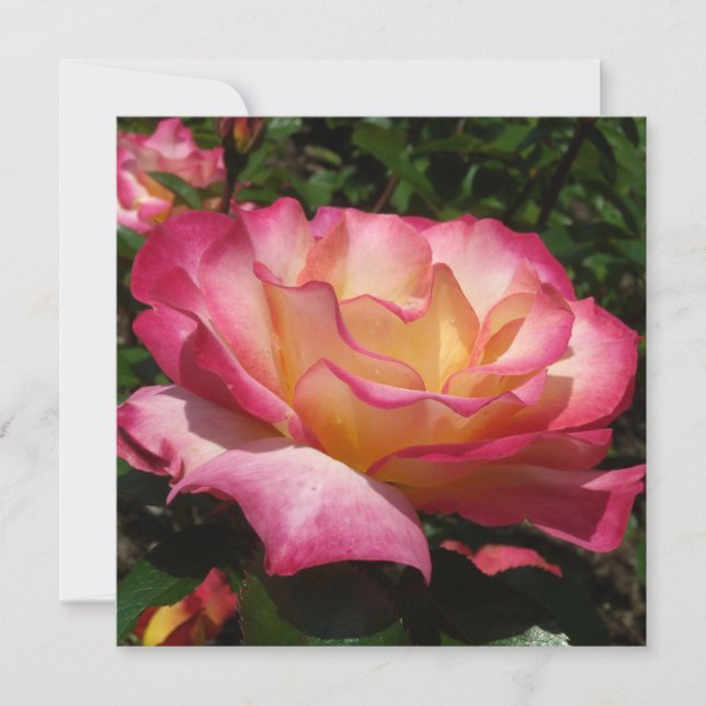 Convites Belo Rosa (Frente)