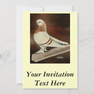 Convites Berliner ShortFace Pigeon