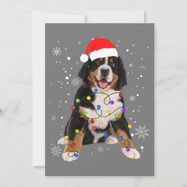 Convites Bernese Mountain Dog Ilumina Fama de Natal (Frente)