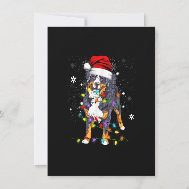 Convites Bernese Mountain Dog Ilumina Fama de Natal (Frente)