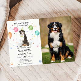 Convites Bernese Mountain Pawty Puppy Aniversário Pink Foto