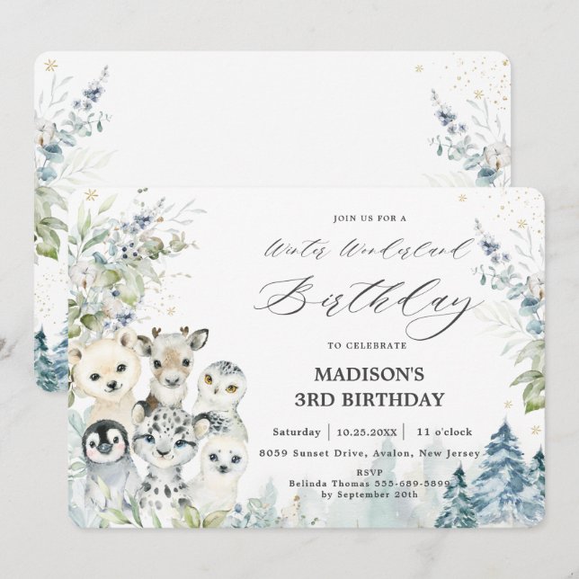 Convites Bicicleta Árctico Noite de inverno Maravilha (Frente/Verso)