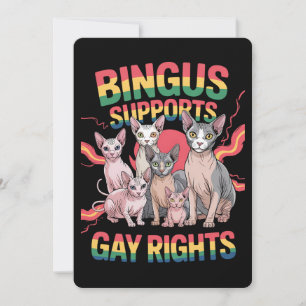 Convites Bingus dá suporte a gays Rights Sphynx Cat LGBTQ P