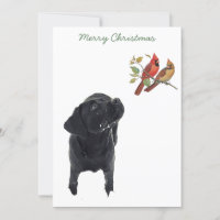 Black Lab Cardinhos de Natal Labrador Cachorro Bon