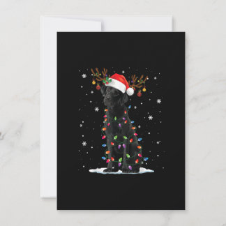 Convites Black Lab Labrador Dog Christmas Lights Xmas Santa