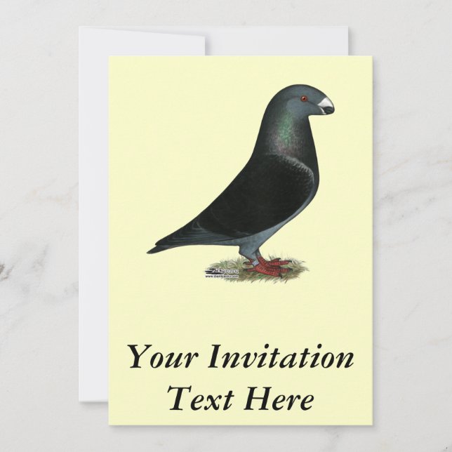 Convites Blue Velvet Show Racer (Frente)