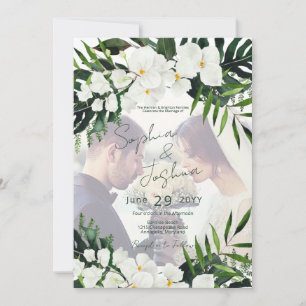 Convites Boho Tropical Greenery Foto Moderna PERSONALIDADE