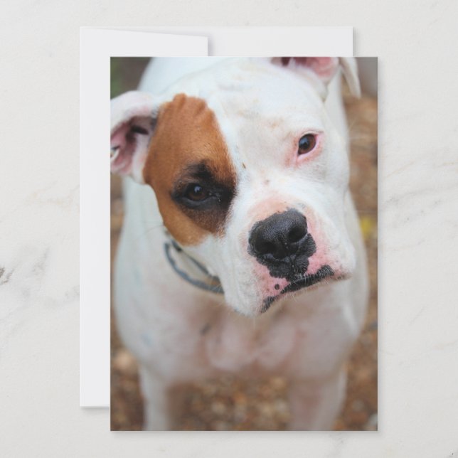 Convites Boop (Frente)