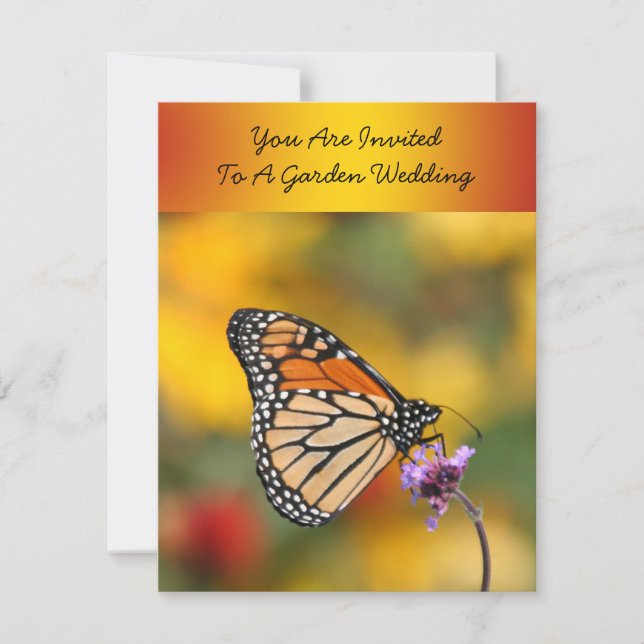 Convites Borboleta Monarca à Procura de Pólen (Frente)