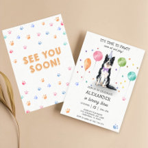 Borda Collie Pawty Dog Puppy Birthday Blue