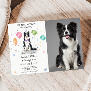 Convites Borda Collie Pawty Dog Puppy Birthday Blue Foto
