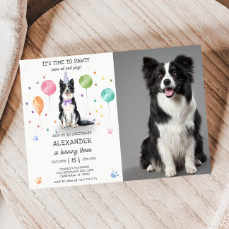 Convites Borda Collie Pawty Dog Puppy Birthday Blue Foto