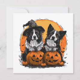 Convites Border Collie Dogs Halloween Jack O Lanternas