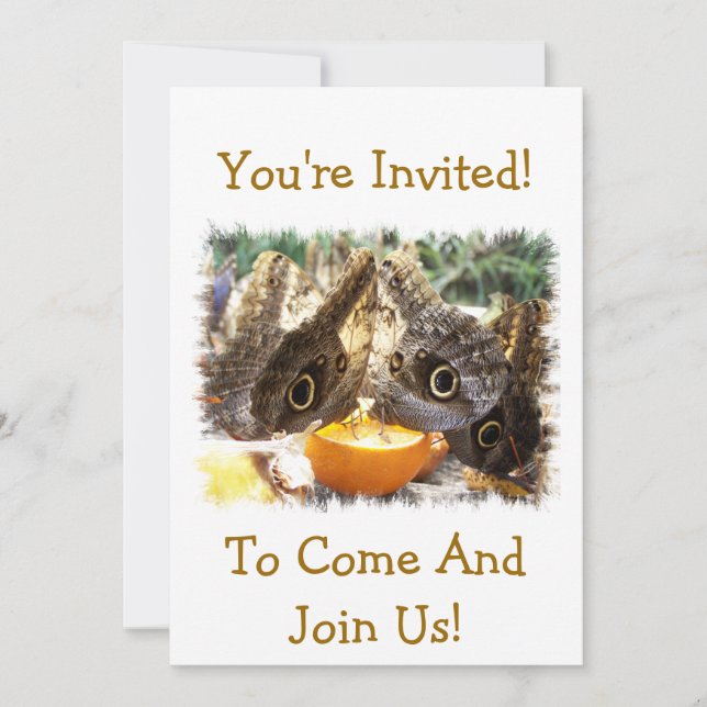 CONVITES BORRACHAS (Frente)