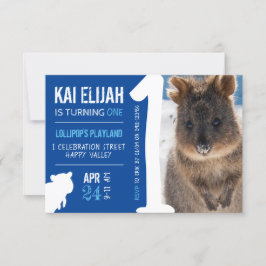 Convites Boys First Birthday Blue Quokka Austrália Foto