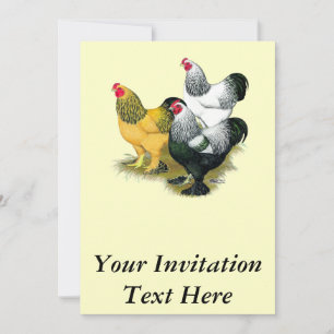 Convites Brahmas Three Roosters