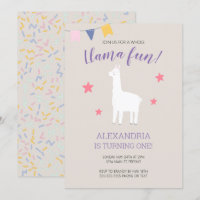 Brincadeira de Llama Fora de Boho Aniversário