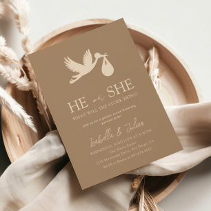 Convites Brown Stork Baby Delivery Ele ou Ela Revela Gênero