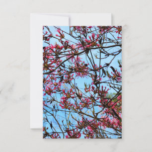 Convites Buchas rosa de flores em uma árvore