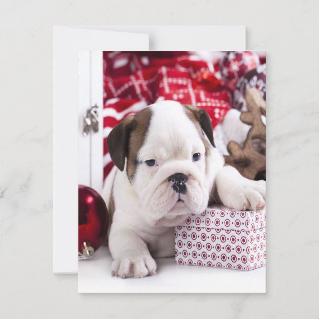 Convites Buldogue Inglês Cachorrinho Fofo | Natal Divertido (Frente)
