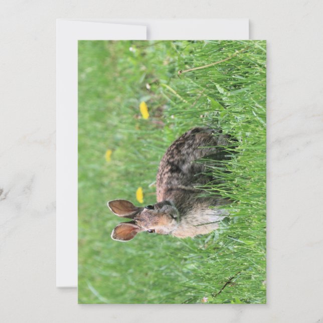 Convites Bunny (Frente)