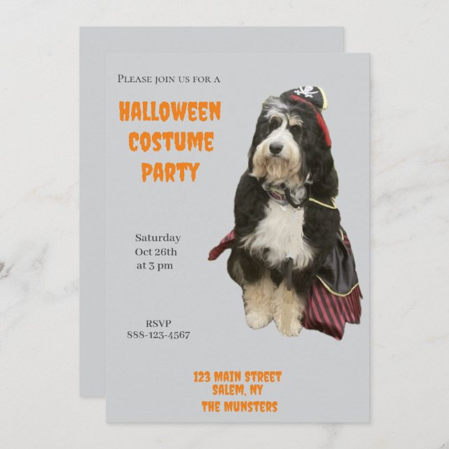 Convites Cachorro Bernedoodle em Pirate Halloween Festa de  (Frente/Verso)