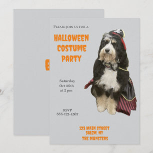 Convites Cachorro Bernedoodle em Pirate Halloween Festa de 
