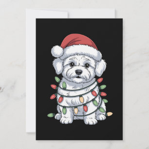 Convites Cachorro Bichon Frise de Natal Chapéu do Papai Noe