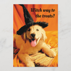 Convites Cachorro com chapéu de bruxa e vassoura